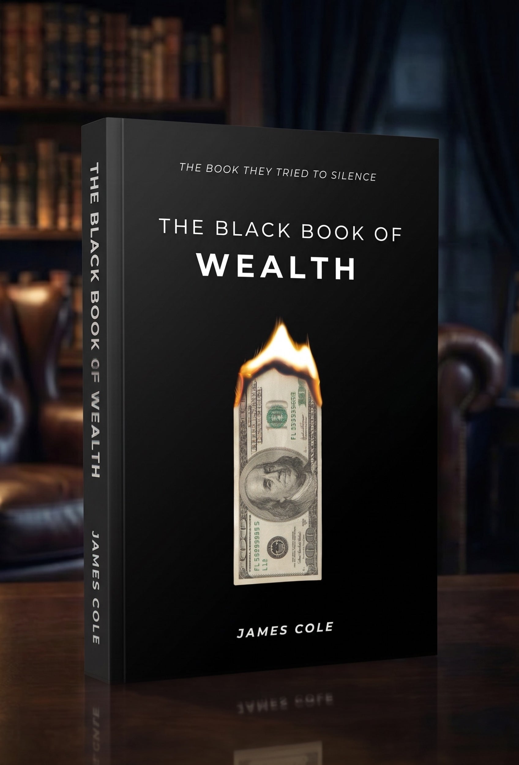 Paperback - The Black Book of Wealth